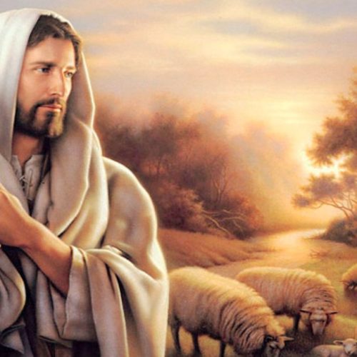 bom_pastor-r17d3ayt4pyk33ywt11gvxg4f7sv1ja2twh4erpbbc Home